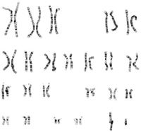 https://www.kaelestudio.net/files/dimgs/thumb_0x200_8_54_114.jpg